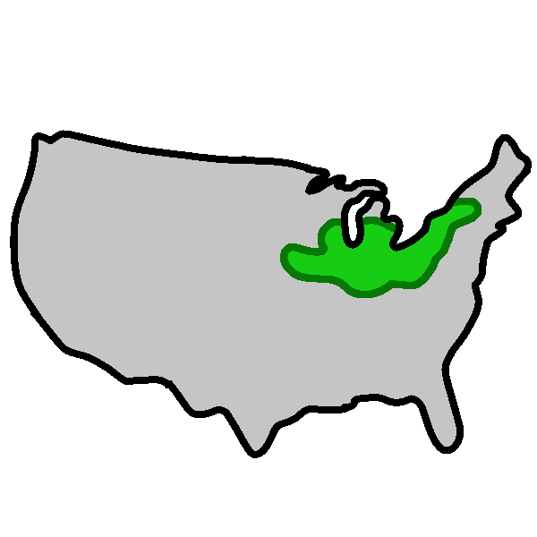 A gray map of the United States with the rust belt, an area spanning from Iowa to New York, highlighted in green.